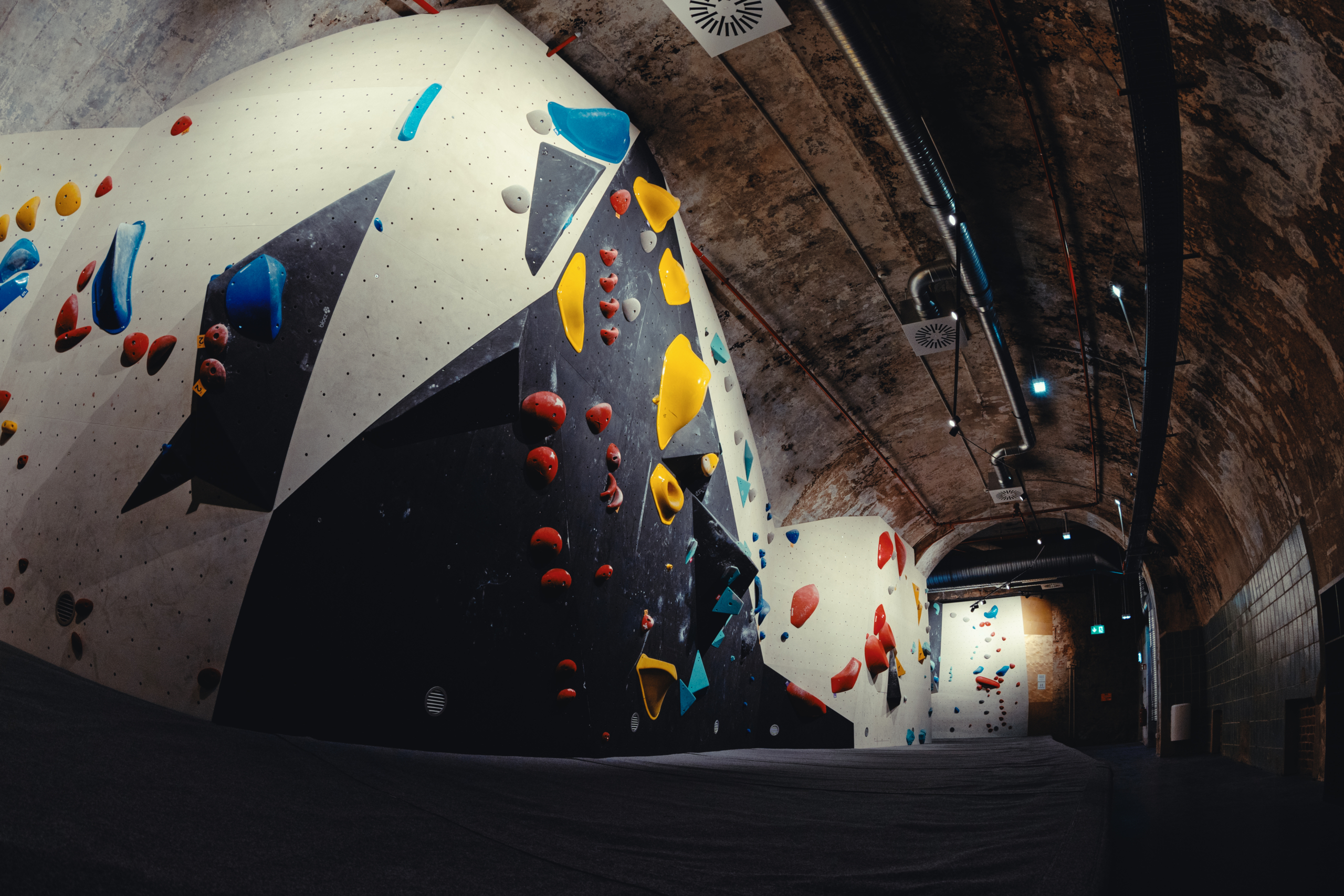 Still 2024-10-21 151044_1.22.11